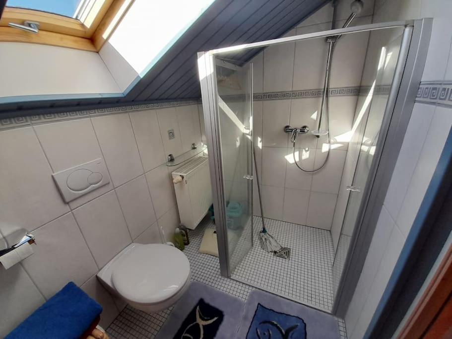 1-Zimmer-Studio am Waldrand photo 1