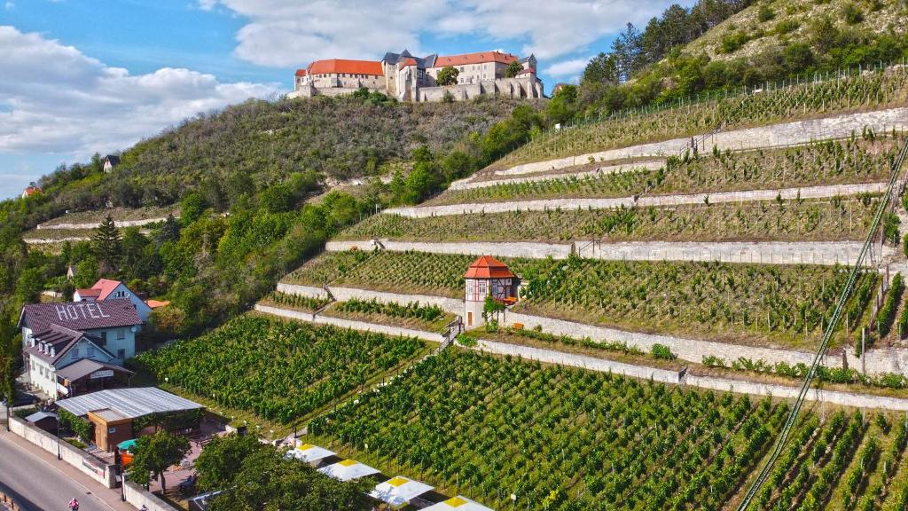 Landhotel Weingut Schulze photo 3