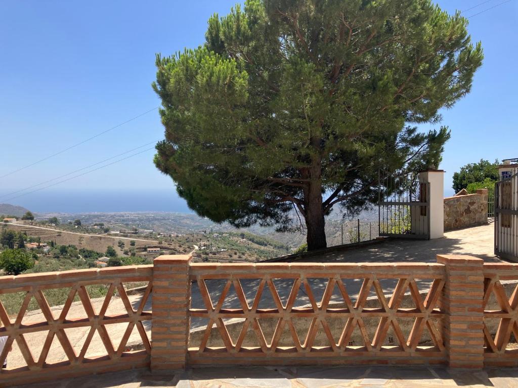 VILLA ANDREA photo 2