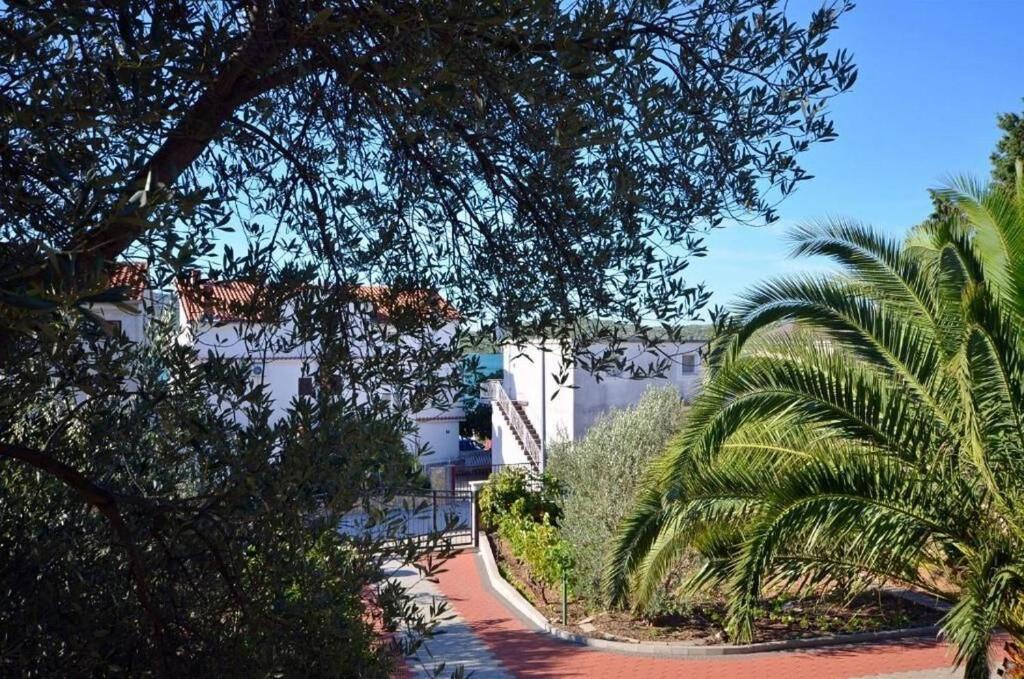 Apartments Rosanda photo 1