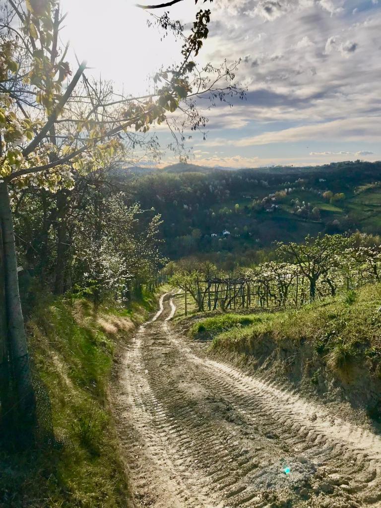 Borgo Francia photo 1