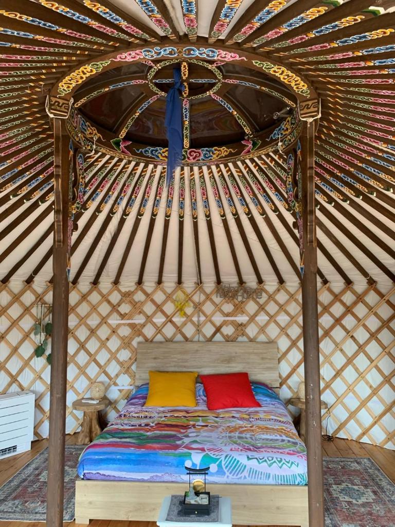 Sognando una yurta Tengri photo 4