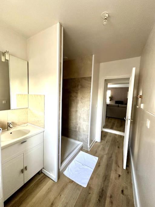 Cosy appartement centre Cusset photo 3