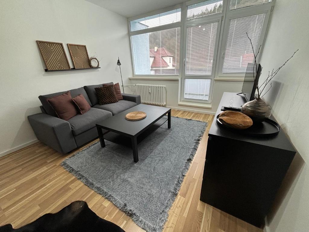 Apartmán Luhačovice III. photo 2