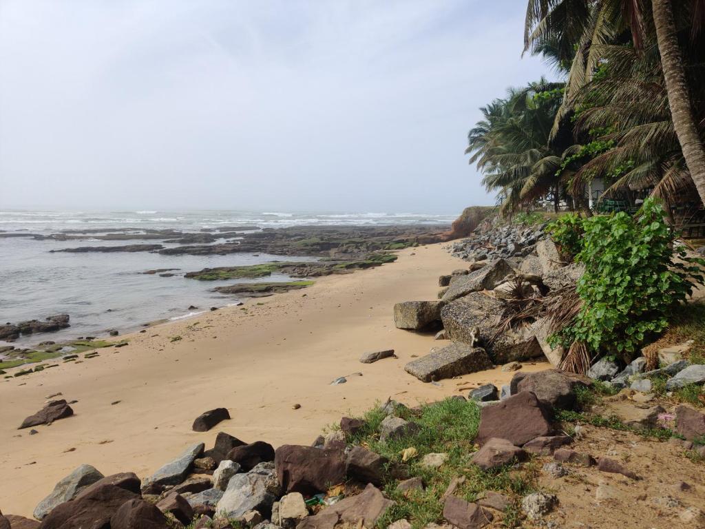 Beach Road Oasis photo 2