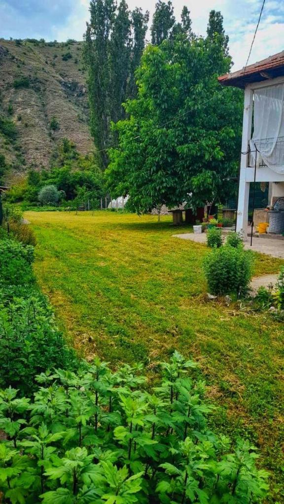 Sonja's House of Sun, Bislim Gorge, Riverview & yard photo 2