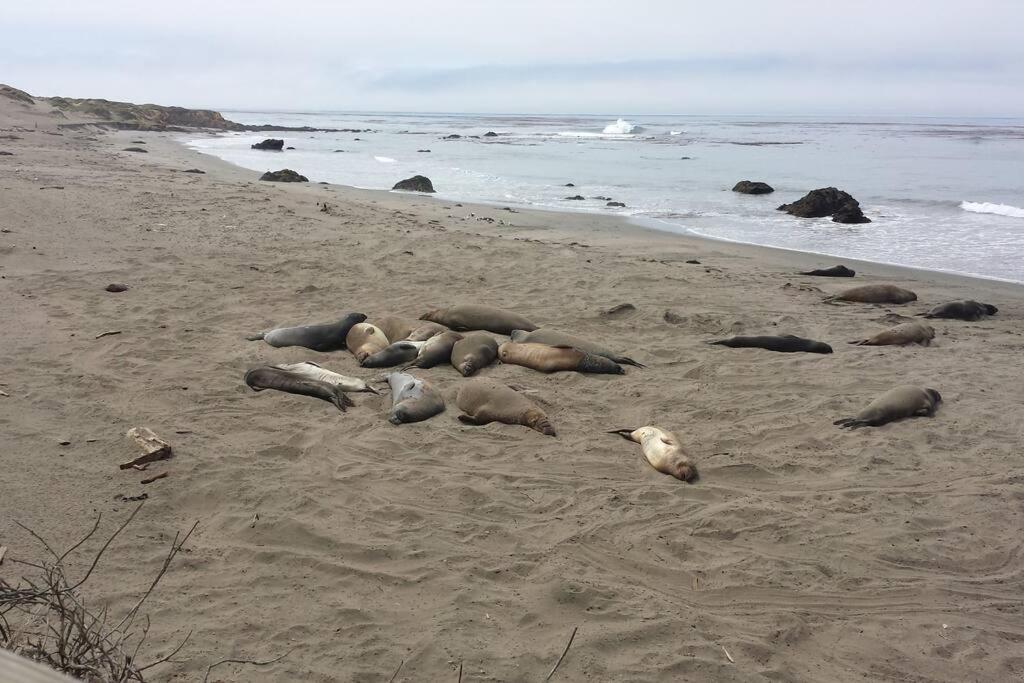 Pelican Place in Morro Bay photo 1