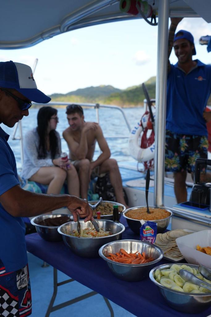 Public Blue Dolphin Sailing photo 1