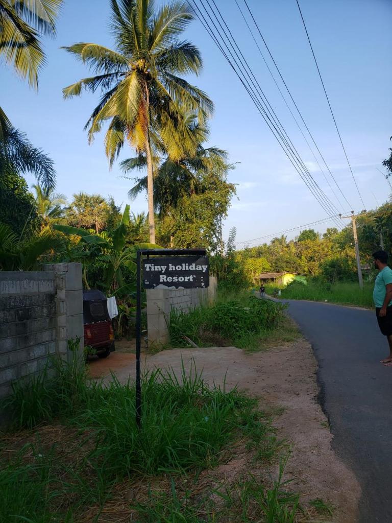 Tiny Homestay photo 3