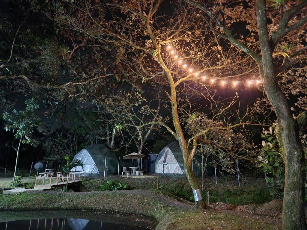 Cabaña del Lago photo 1