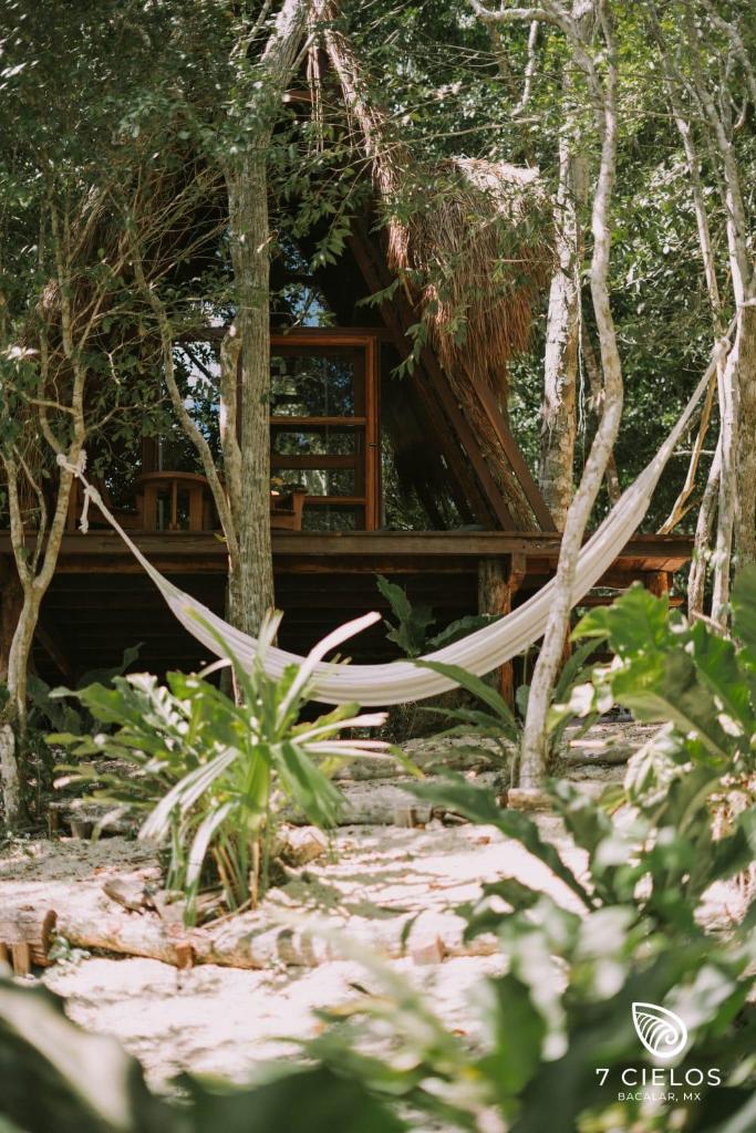 7 CIELOS BACALAR. photo 4