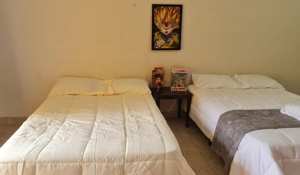 Kame House photo 1