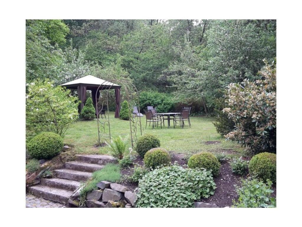 Cosy apartment in Harz photo 4