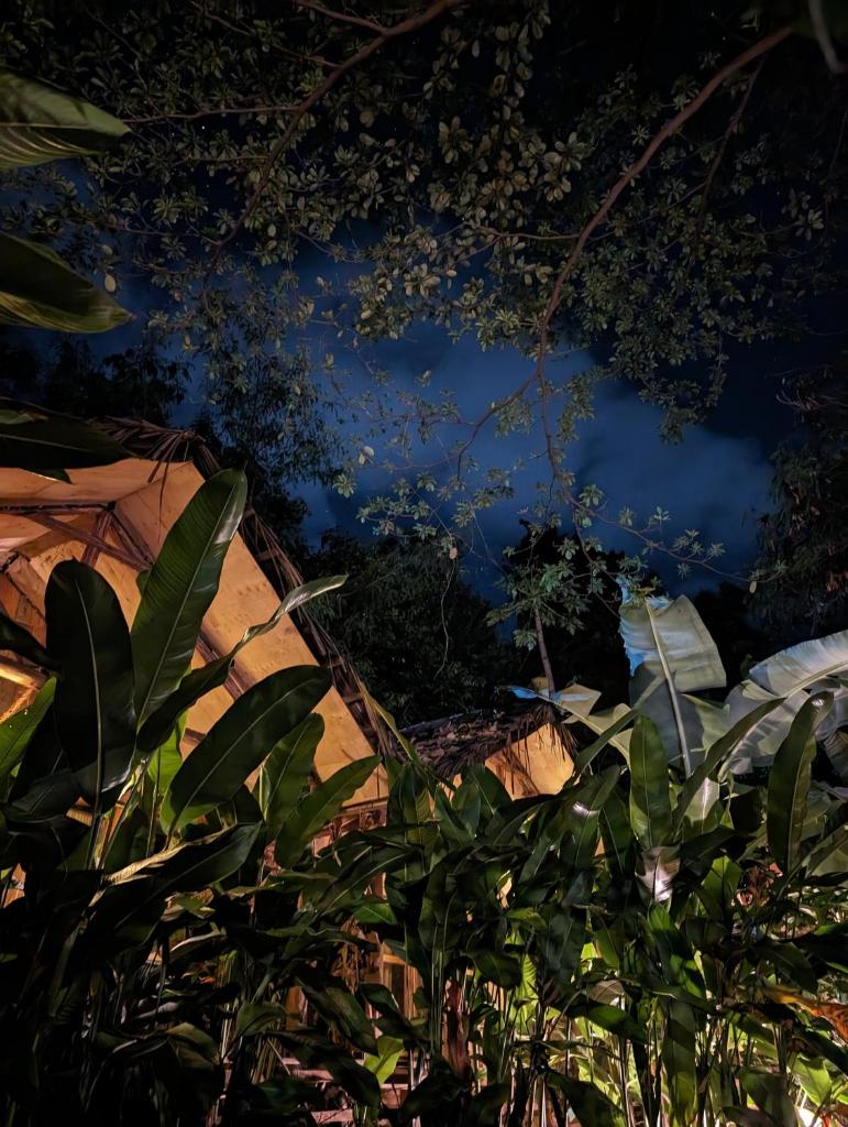 Backyard Moshi Eco Bungalows photo 1