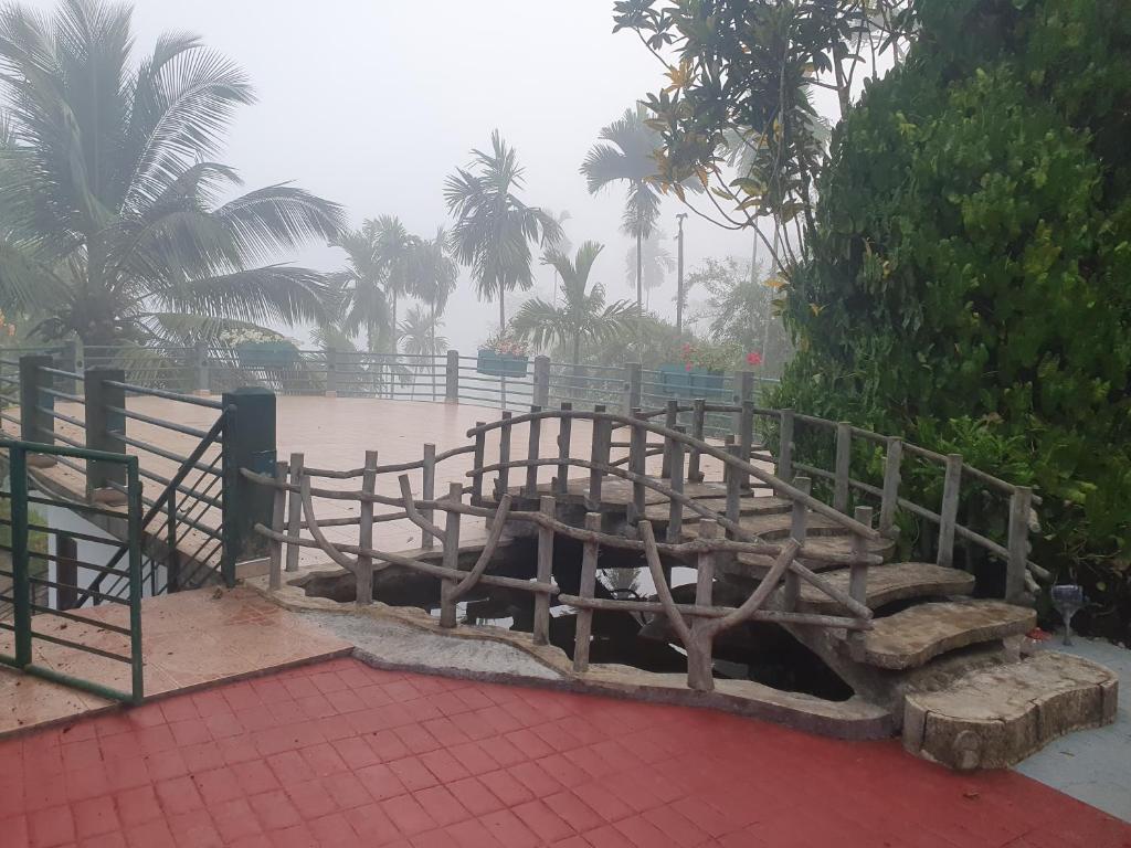 Singheraja Lodge photo 3