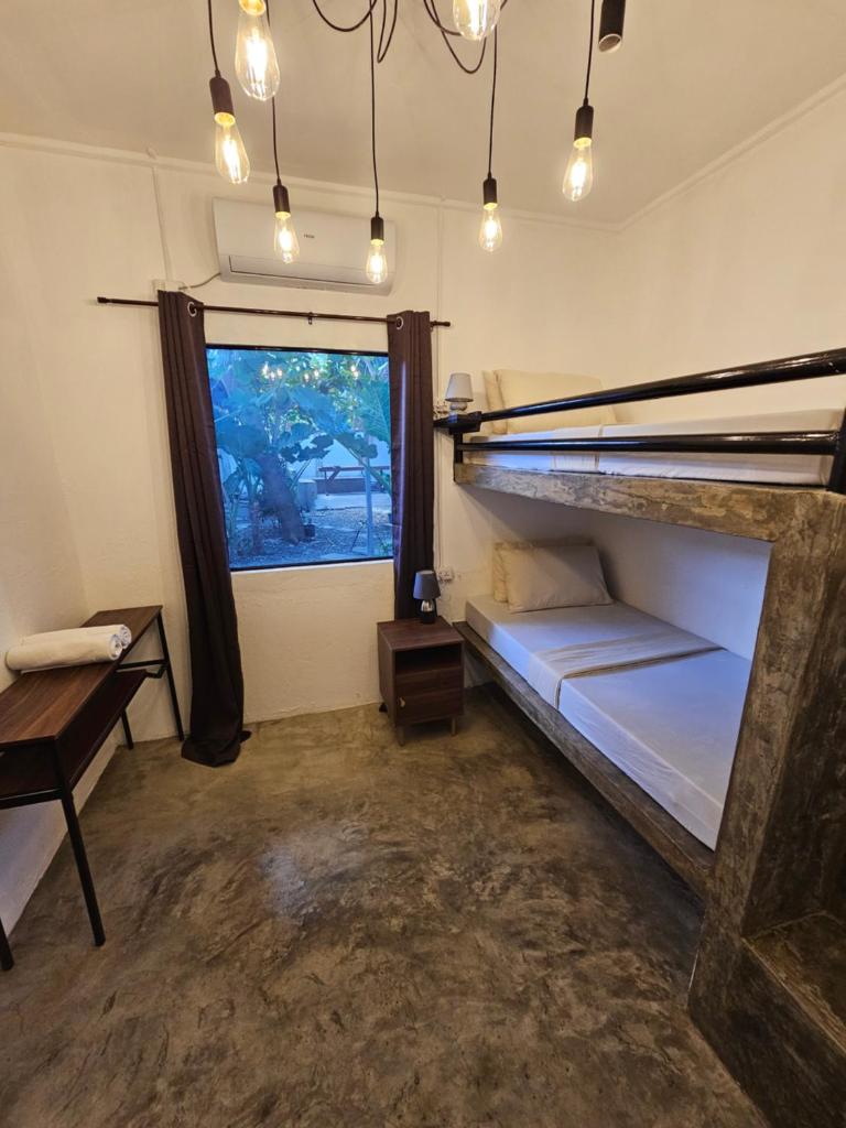 Crazy Bears Hostel photo 1