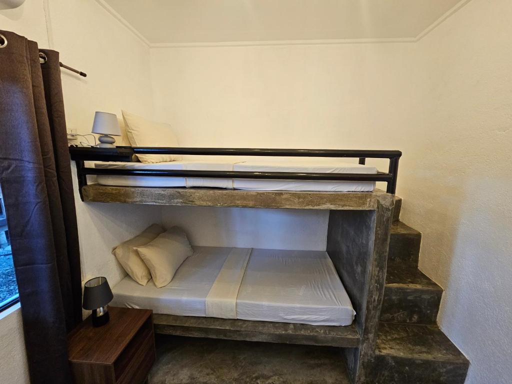 Crazy Bears Hostel photo 2