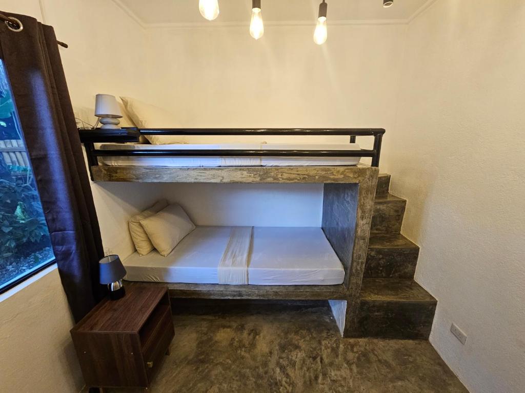 Crazy Bears Hostel photo 4