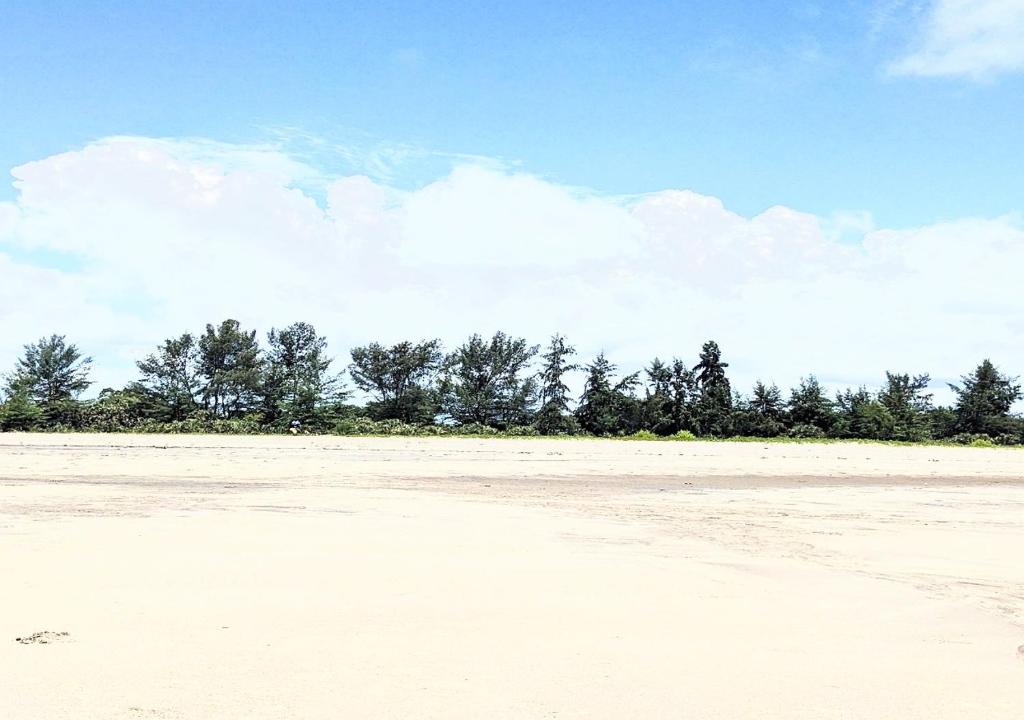 Hotel Sea Sea photo 1