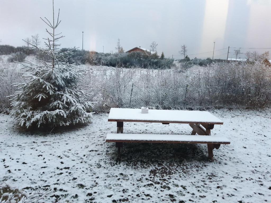 La Pause Aigoual photo 2
