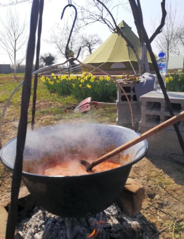 BELLTENT SAVICA photo 4