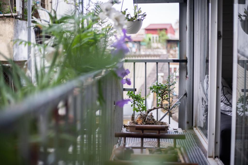 A19HOME - Free Breakfast & Travels