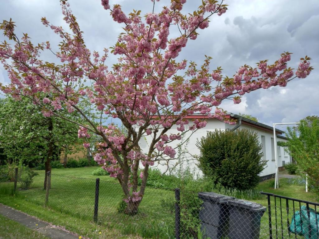 Ferienhaus Loissin photo 3