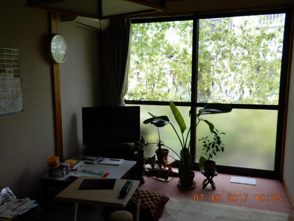 Japanese Traditional House with beautiful garden. photo 2