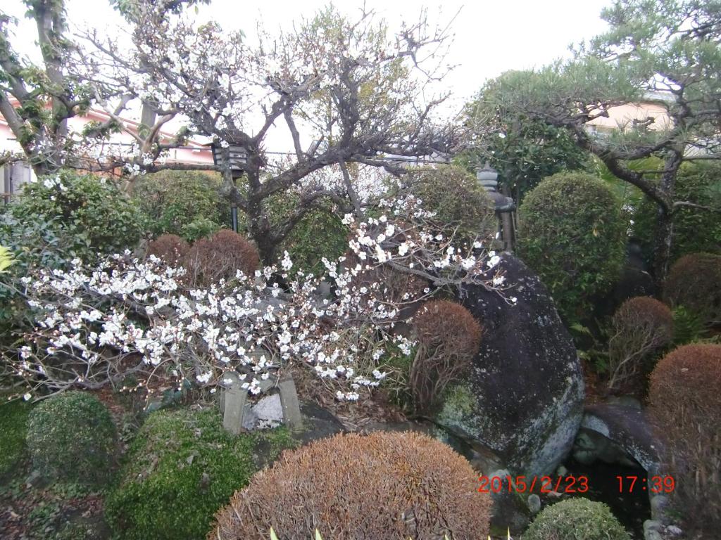 Japanese Traditional House with beautiful garden. photo 3