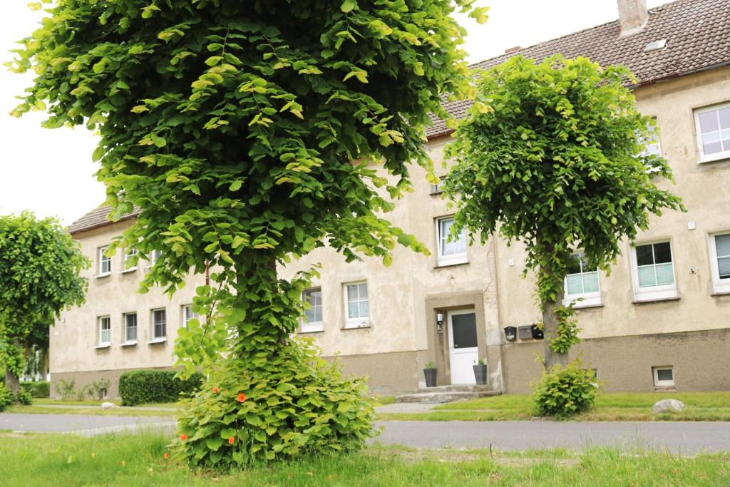 Ferienwohnung zum Möwennest GOEH photo 1
