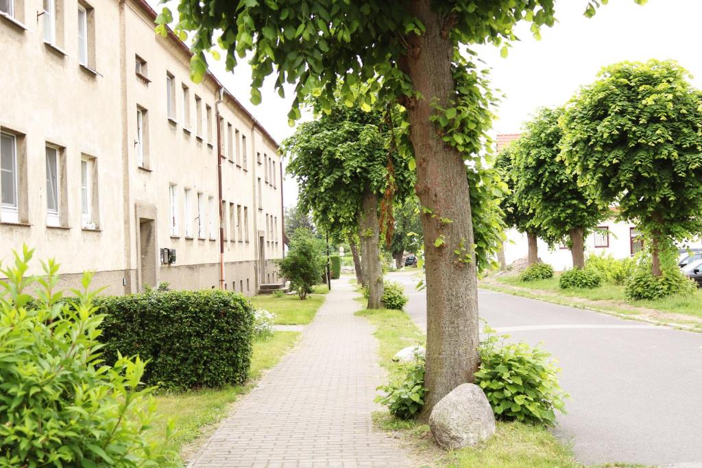 Ferienwohnung zum Möwennest GOEH photo 2