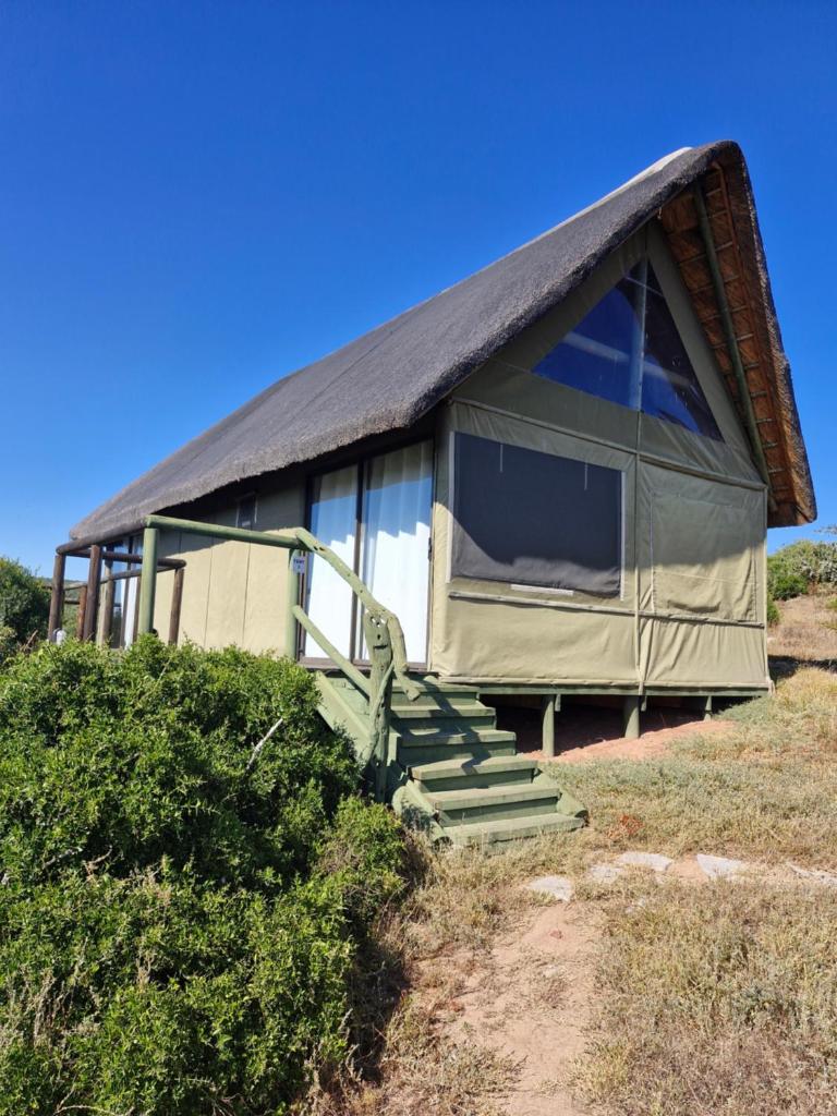 Harmony Luxury Tents & Safari photo 3
