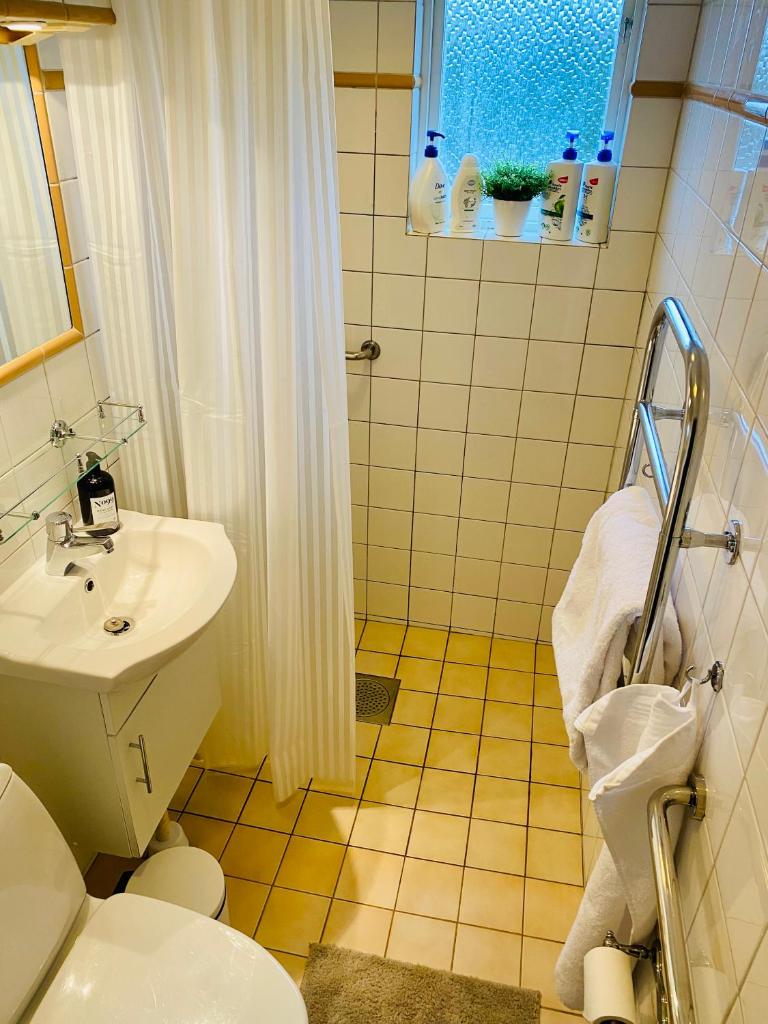 Fackelrosvägen photo 4