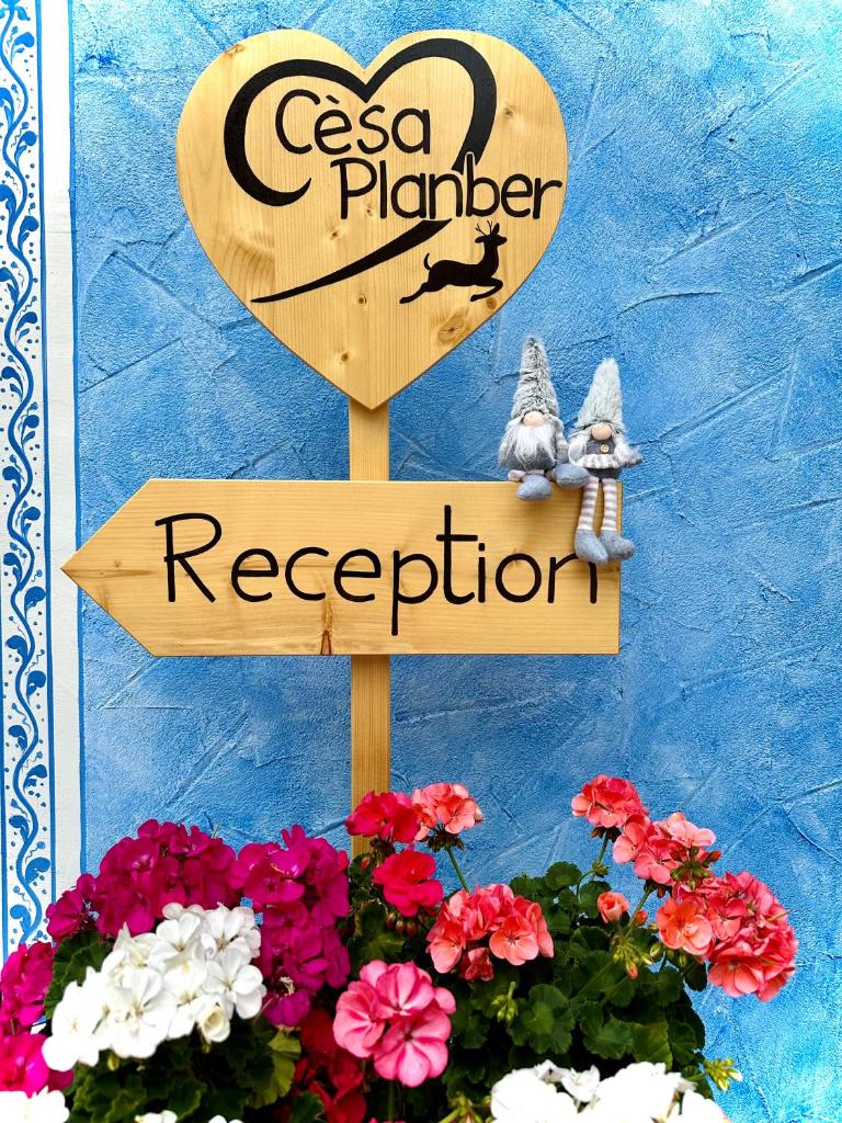 B&B Cèsa Planber Mountain View BIKE FRIENDLY photo 2