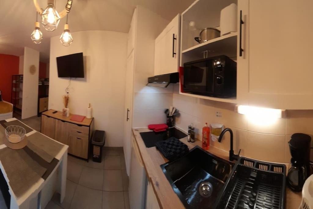 Appartement du Chamois Roux, dans résidence de tourisme 3 étoiles photo 3