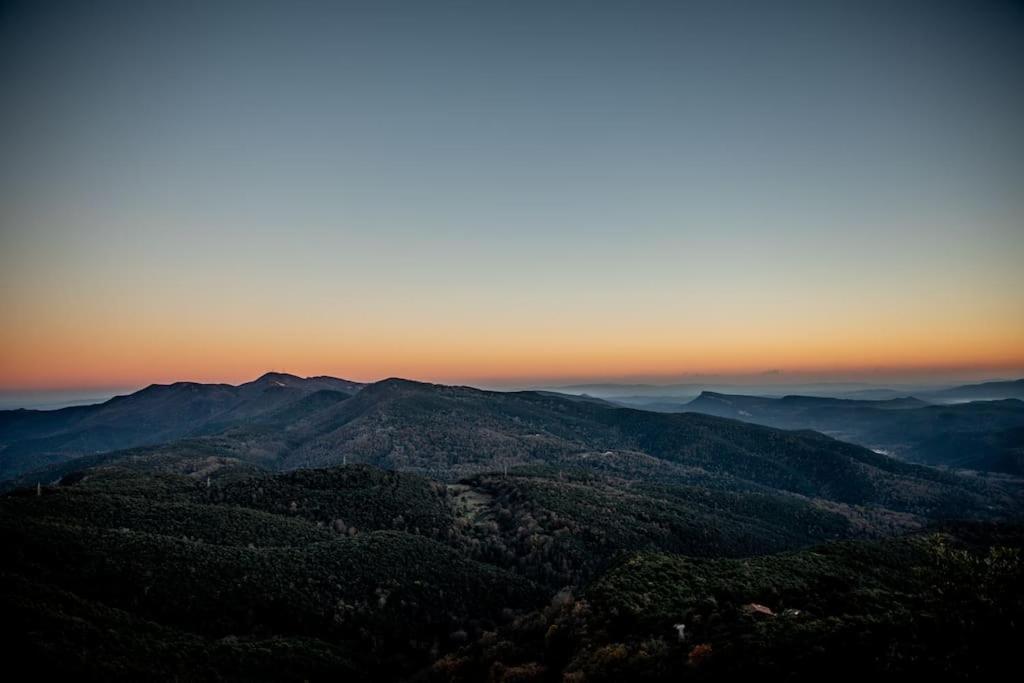 Paradise for Foodies in the Middle of Nature photo 2