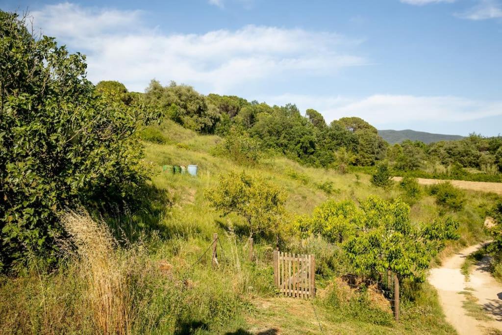 Paradise for Foodies in the Middle of Nature photo 3