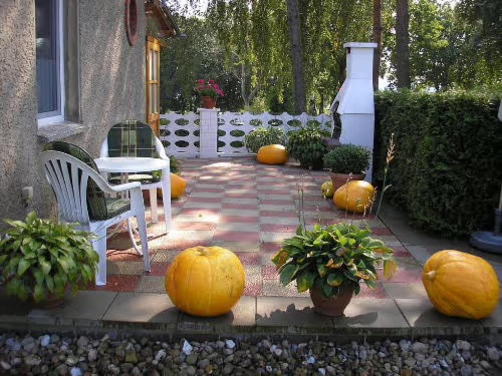 Ferienhaus Berolina photo 2