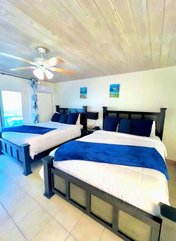 Exuma Palms Resort photo 4