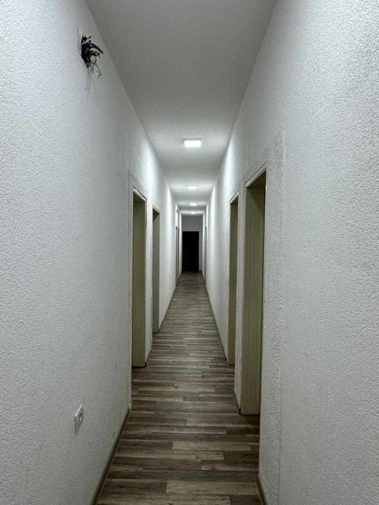 Apartments Beriša photo 4