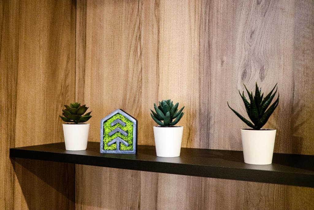 Cascadia Luxury Business Apartment - Garden View photo 4