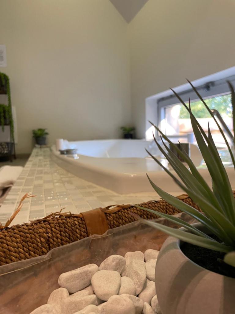 Le Loft Gramat Gîte & Bien-Etre photo 3
