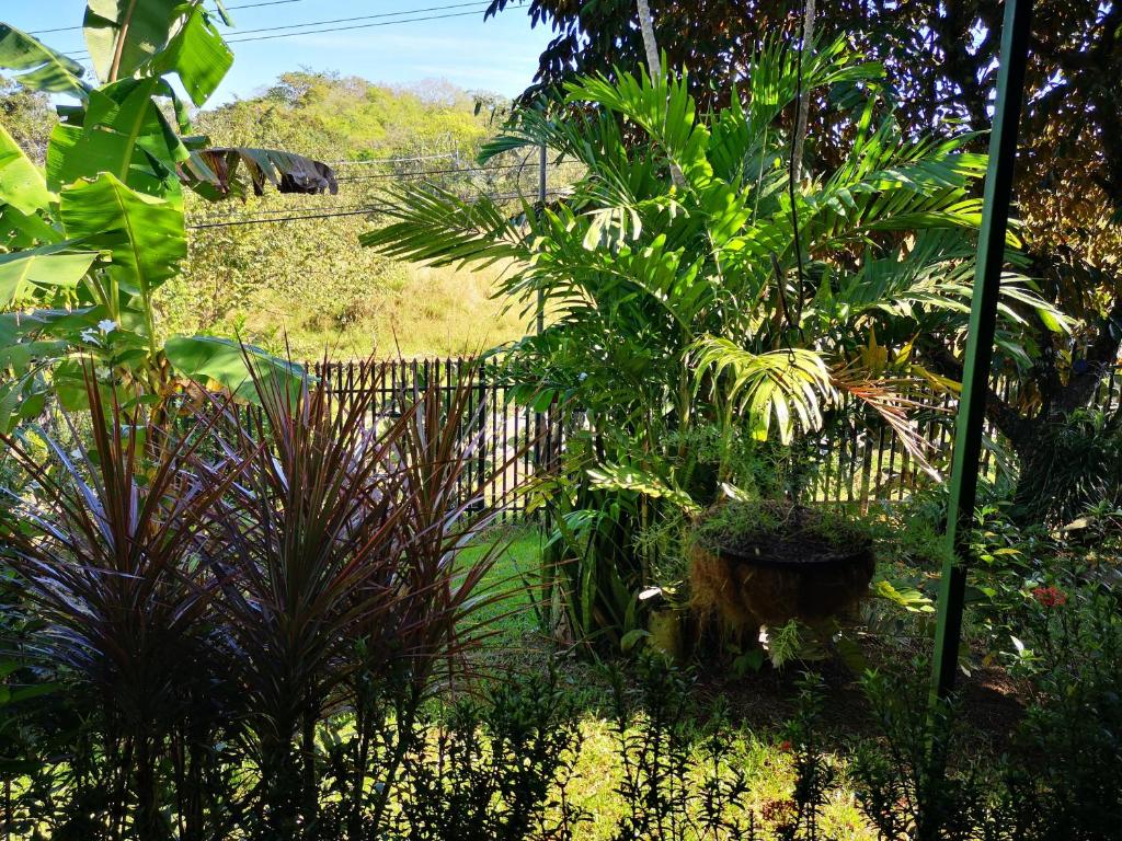 Chalet Villa Vilma photo 1
