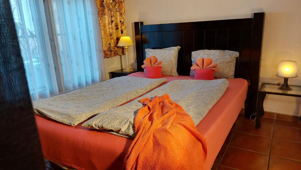 Apartamentos-Monasterio-de-San-Antonio-Guenstiges-Apartment-zur-Strasse photo 3