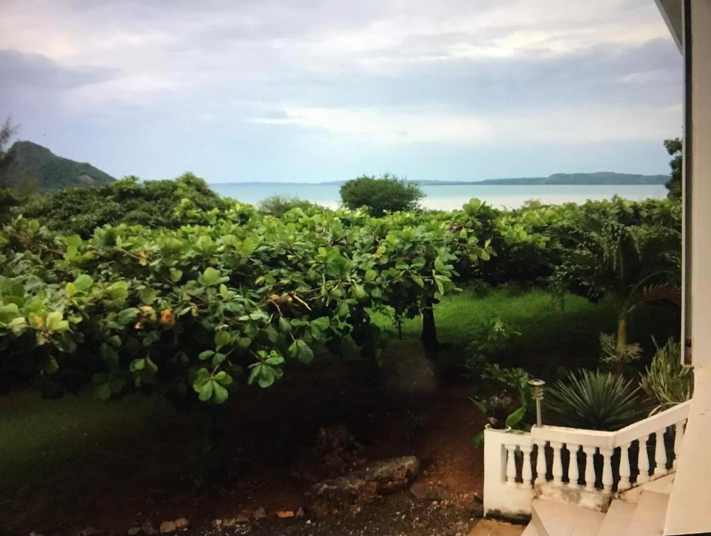 La Villa Ingrid photo 2