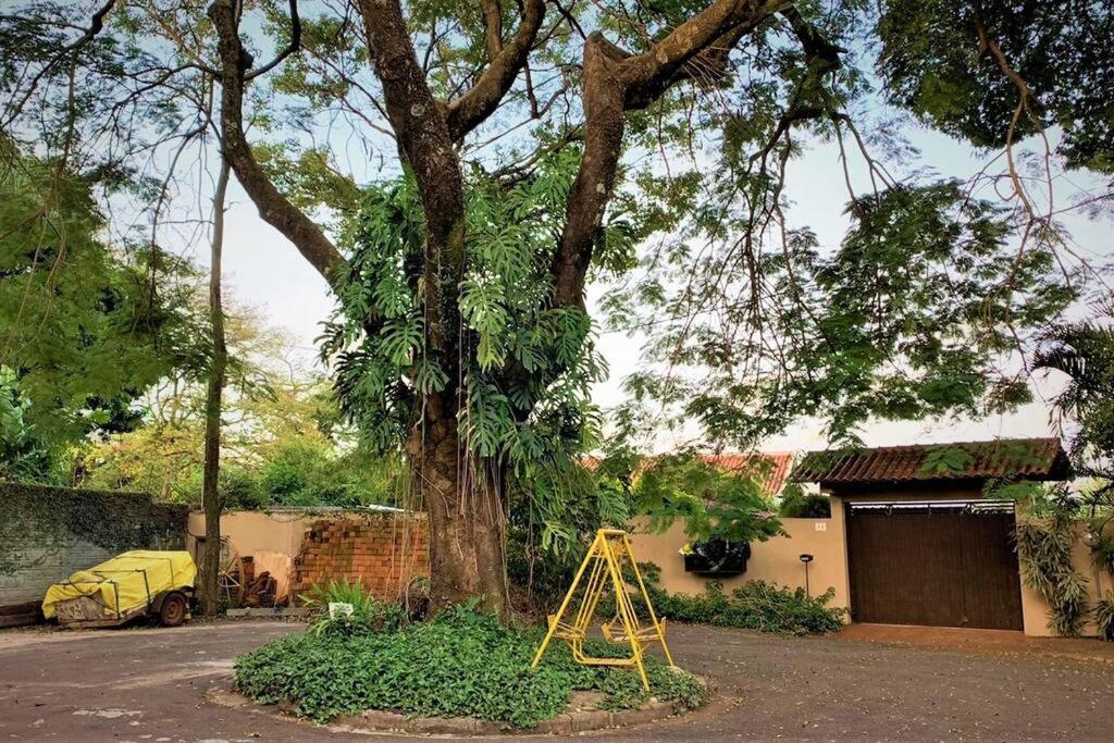 Bem-estar e boa localização (Apto Paraíso) photo 1