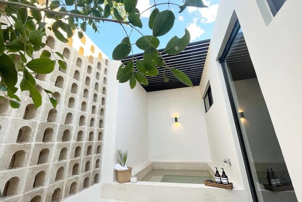 Casa Terra photo 4