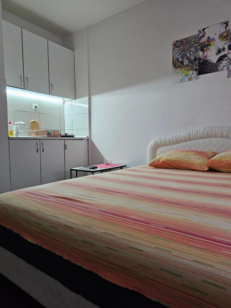 Apartmani Borko 3-3 photo 2