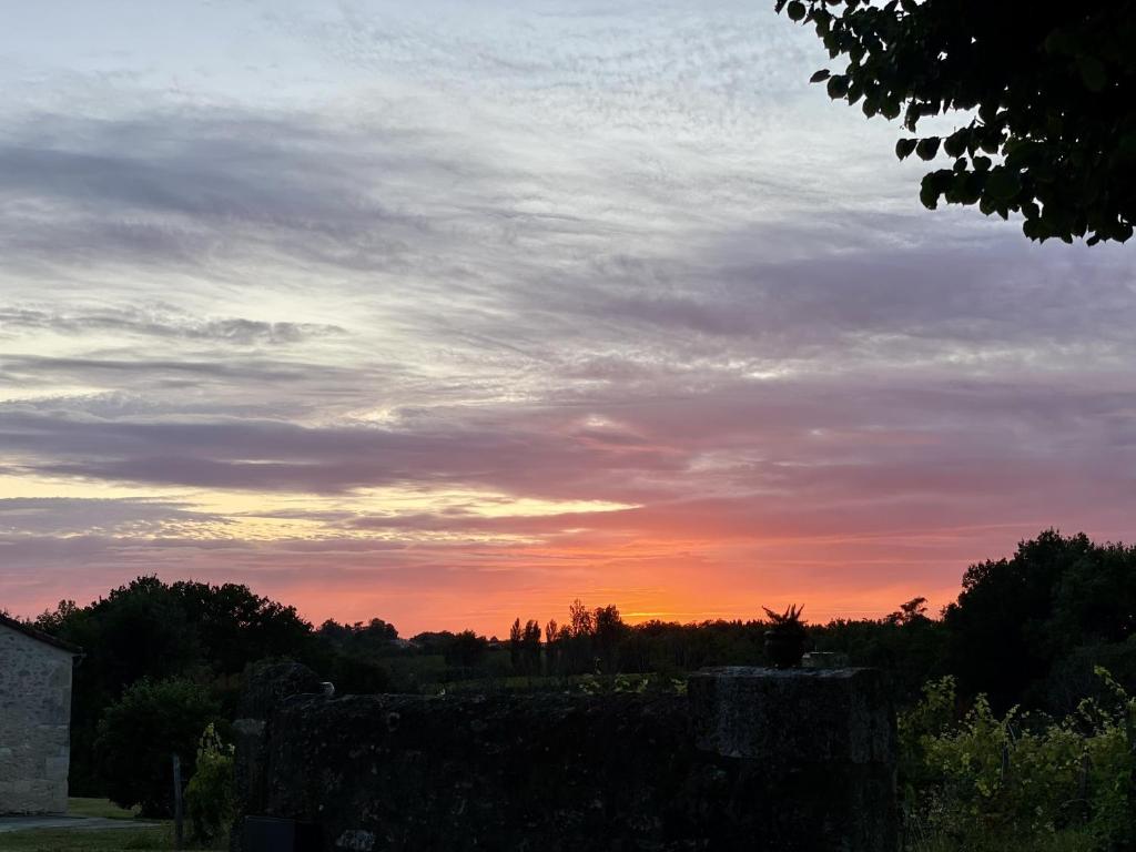 Chateau Masburel photo 1