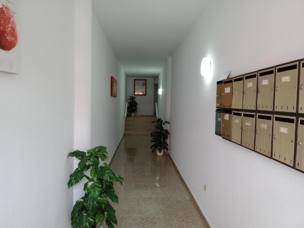 La Villa de Santa Úrsula a 5km de Puerto de La Cruz photo 1